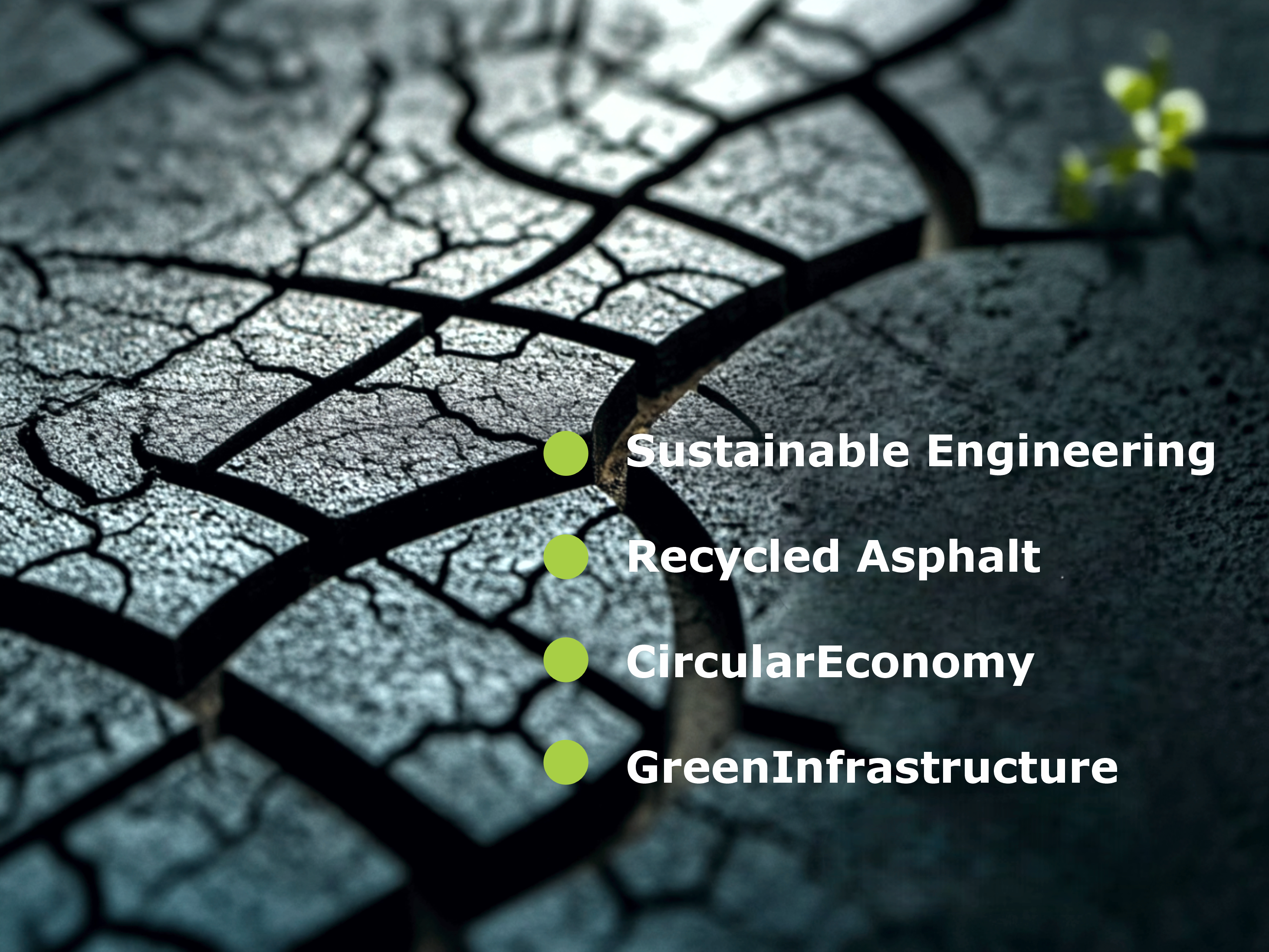 A sprout breaking through cracked asphalt — green rubberized asphalt